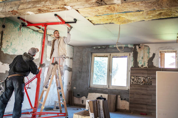 Best Geographic-Specific Insulation Services in Fort Branch, IN