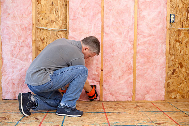 Best Eco-Friendly Insulation in Fort Branch, IN