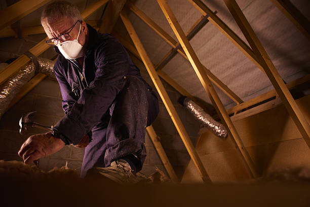 Best Cellulose Insulation in Fort Branch, IN